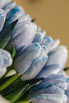 Bouquet de Tulips (Blue)