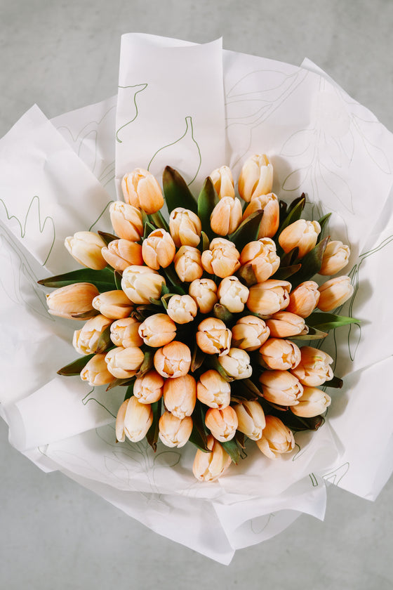 Bouquet de Tulips (Peach)