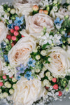 Berries and Blooms