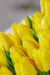 Bouquet de Tulips (Yellow)